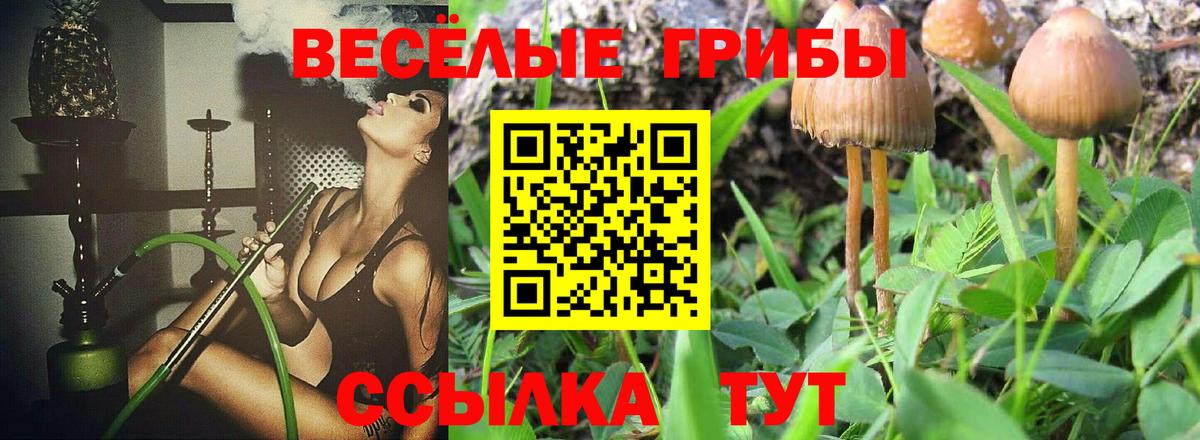 Ртищево  Псилоцибиновые грибы мухоморы  Псилоцибиновые грибы MAGIC MUSHROOMS  Вход с VPN 